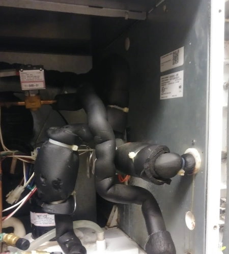 Top-rated commercial refrigeration