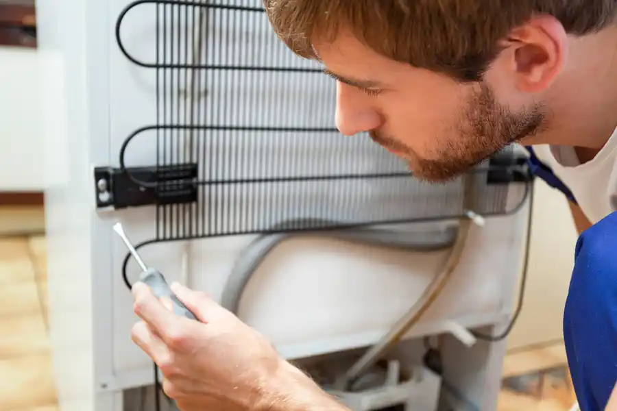 Signs That Your Freezer Requires Immediate Repair Katy, TX Signs That Your Freezer Requires Immediate Repair Katy, TX